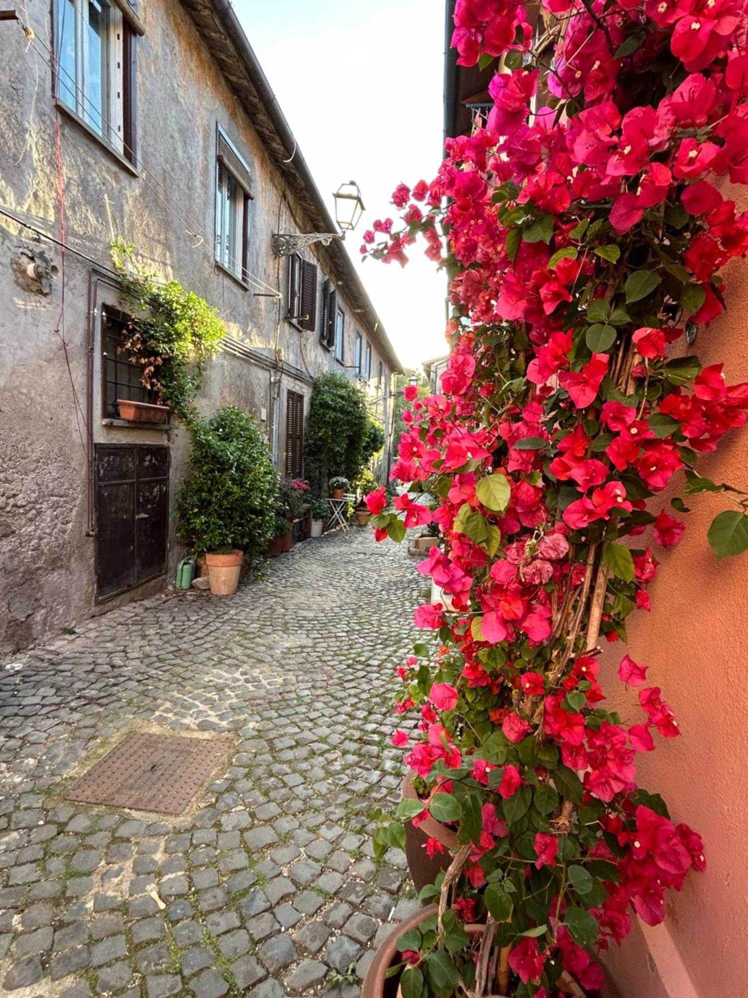 Ferienwohnung La Casa Di Gioia Ostia Antica Exterior foto